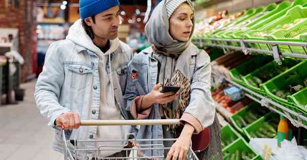 智能家居机器人的替代