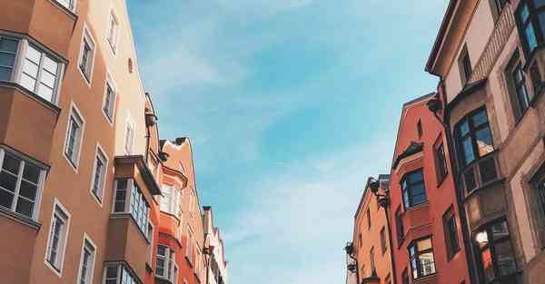 外国语单招大数据的行业文章