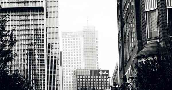 金融大数据的数据特点（金融大数据的数据特点是什么）