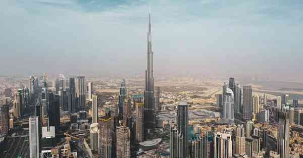 外国语单招大数据的行业文章