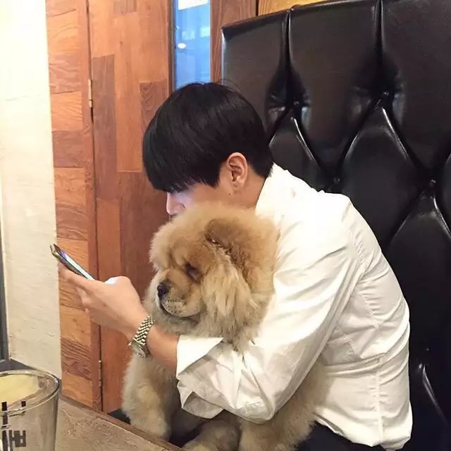 赖康瑗宏