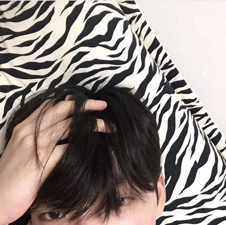 石悦生素