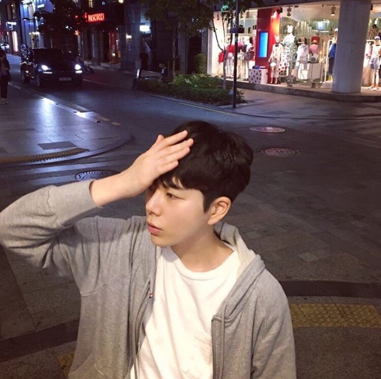 尹菁林聪
