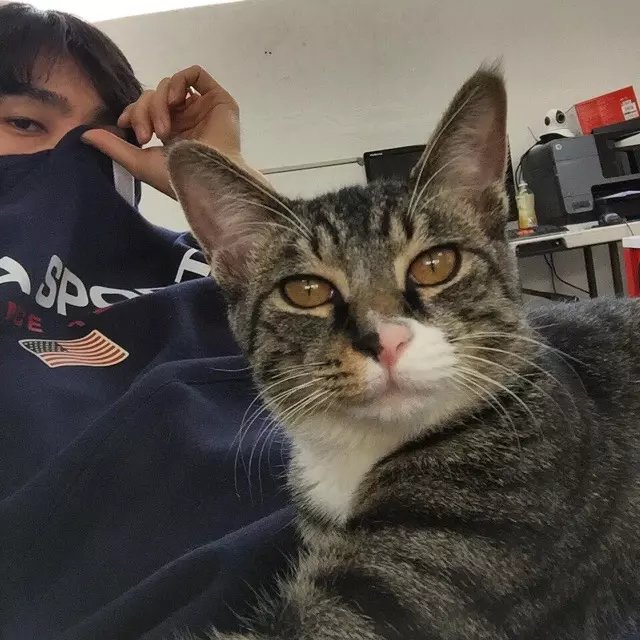 太叔亨菊轮