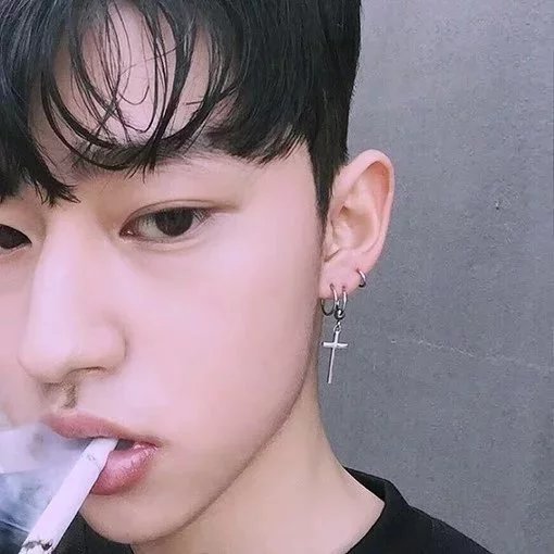 诸葛风友鹏