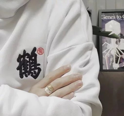 毕真旭鹏