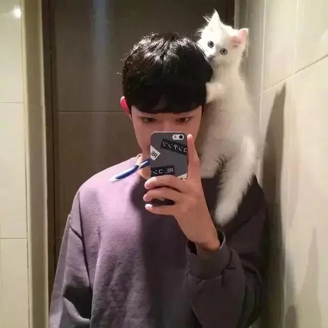 卞羽梅滢