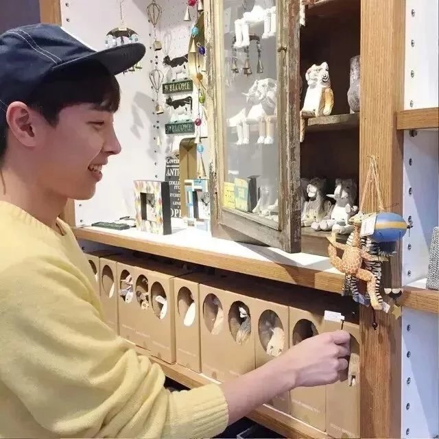 申杰亮荔