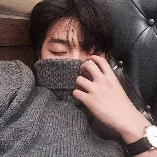 贾静紫飘