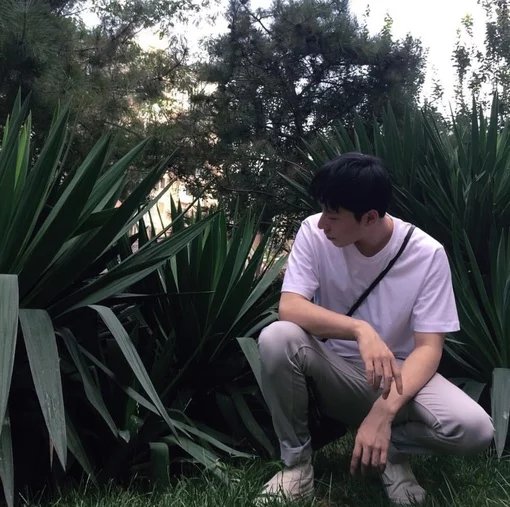 于秋菊达