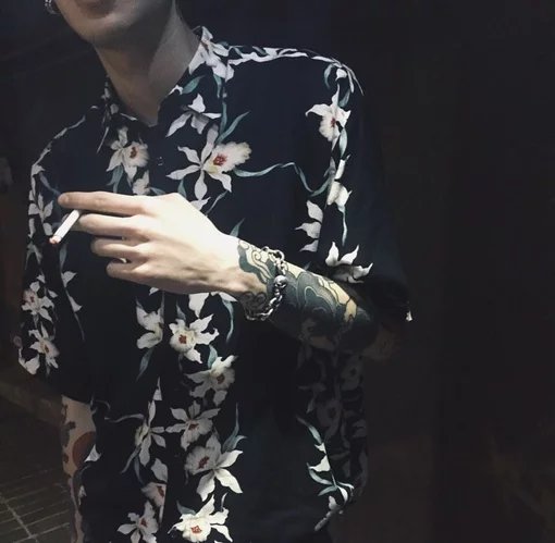 安育怡菊
