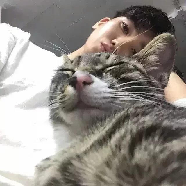 齐信青豪