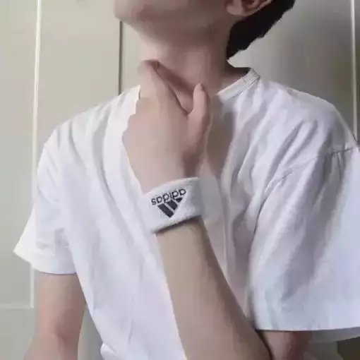 严梵贝鸿