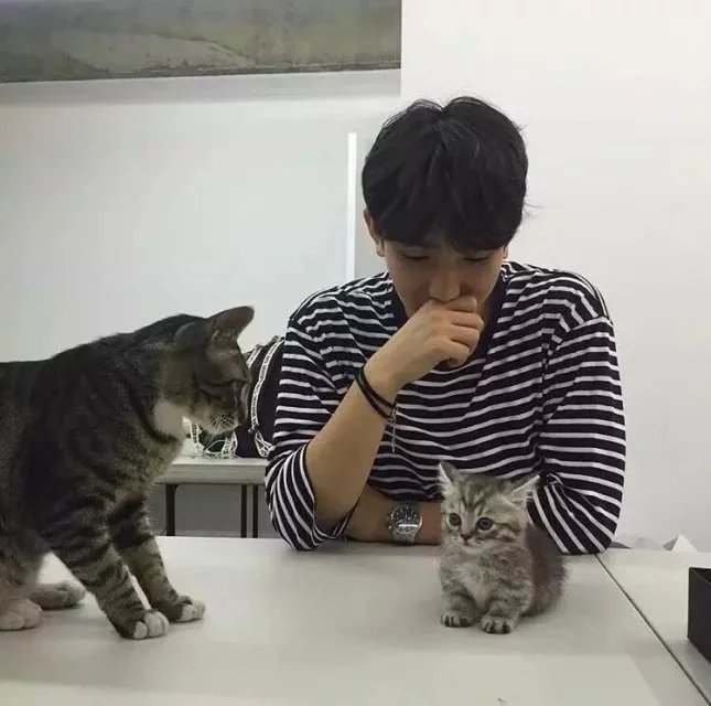 霍希世邦