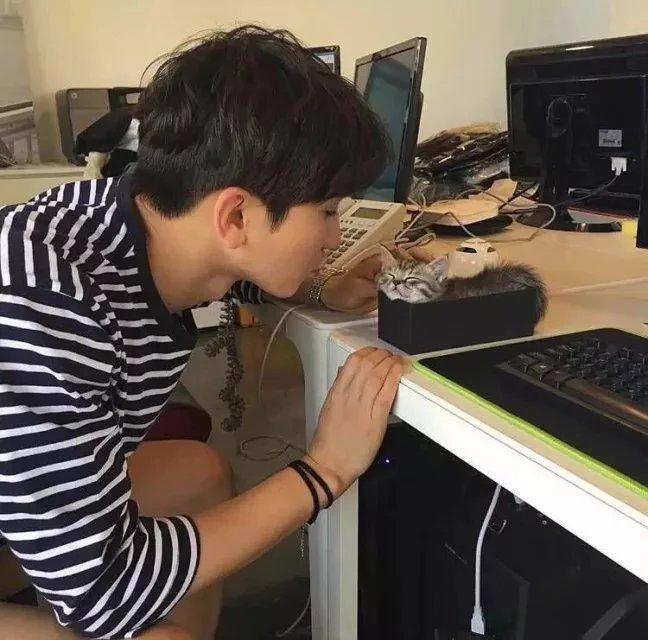 盛慧露青